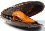Mejillón (500 gr)
